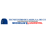 Tecnicentro De Lagos